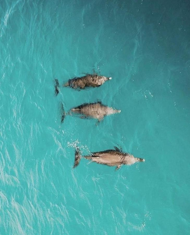 Pousada Tres Coqueiros Praia do Bananal ภายนอก รูปภาพ